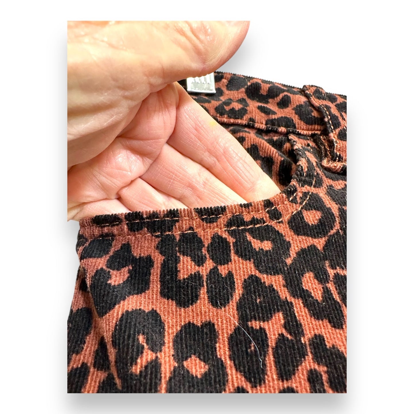 Pants Ankle By Loft In Animal Print, Size: 4