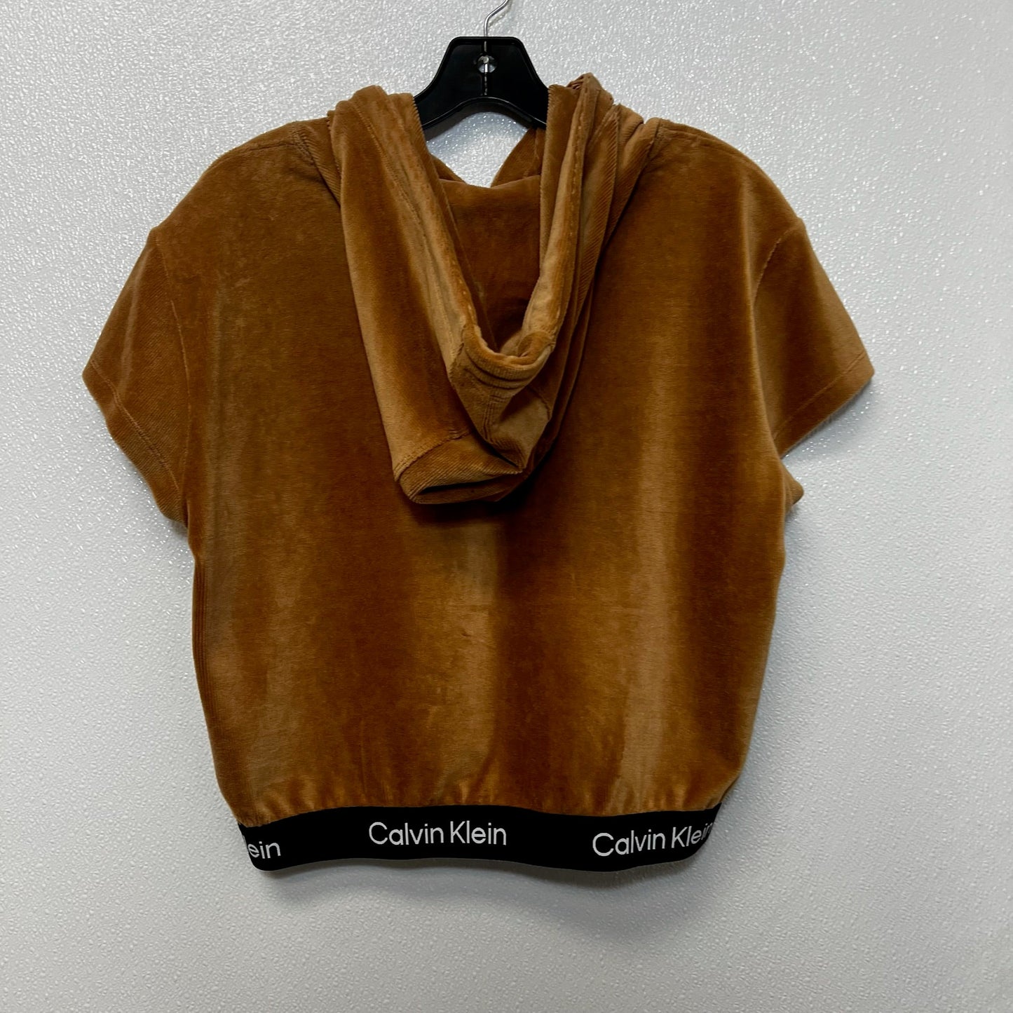 Top Short Sleeve By Calvin Klein Performance In Brown, Size: Xl