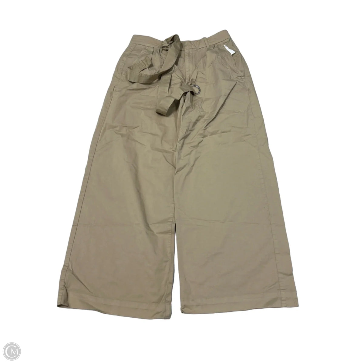 Everlane Wide-Leg Pants in Tan, Size 8