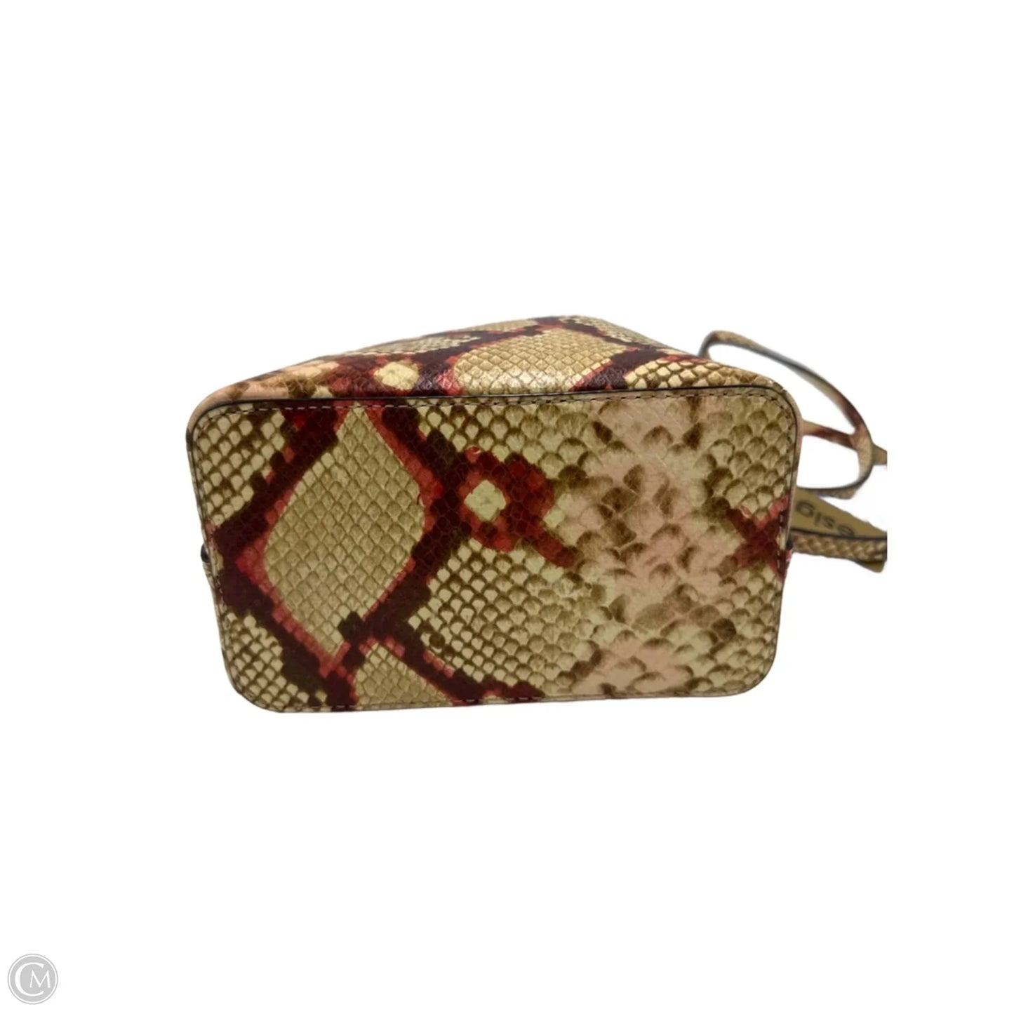 Crossbody Designer Handbag By Michael Kors