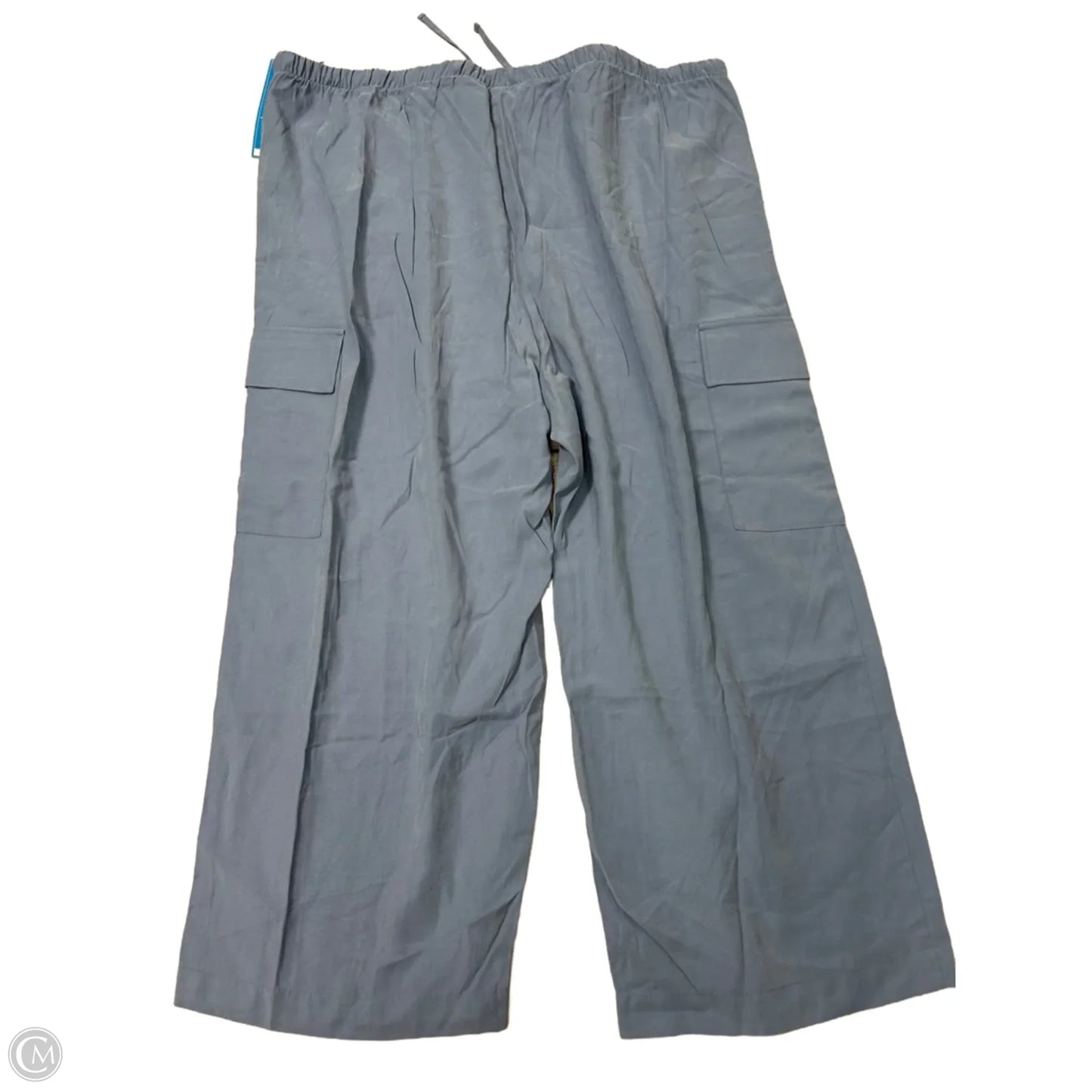New! Pants Other By Old Navy In Blue, Size: 4x