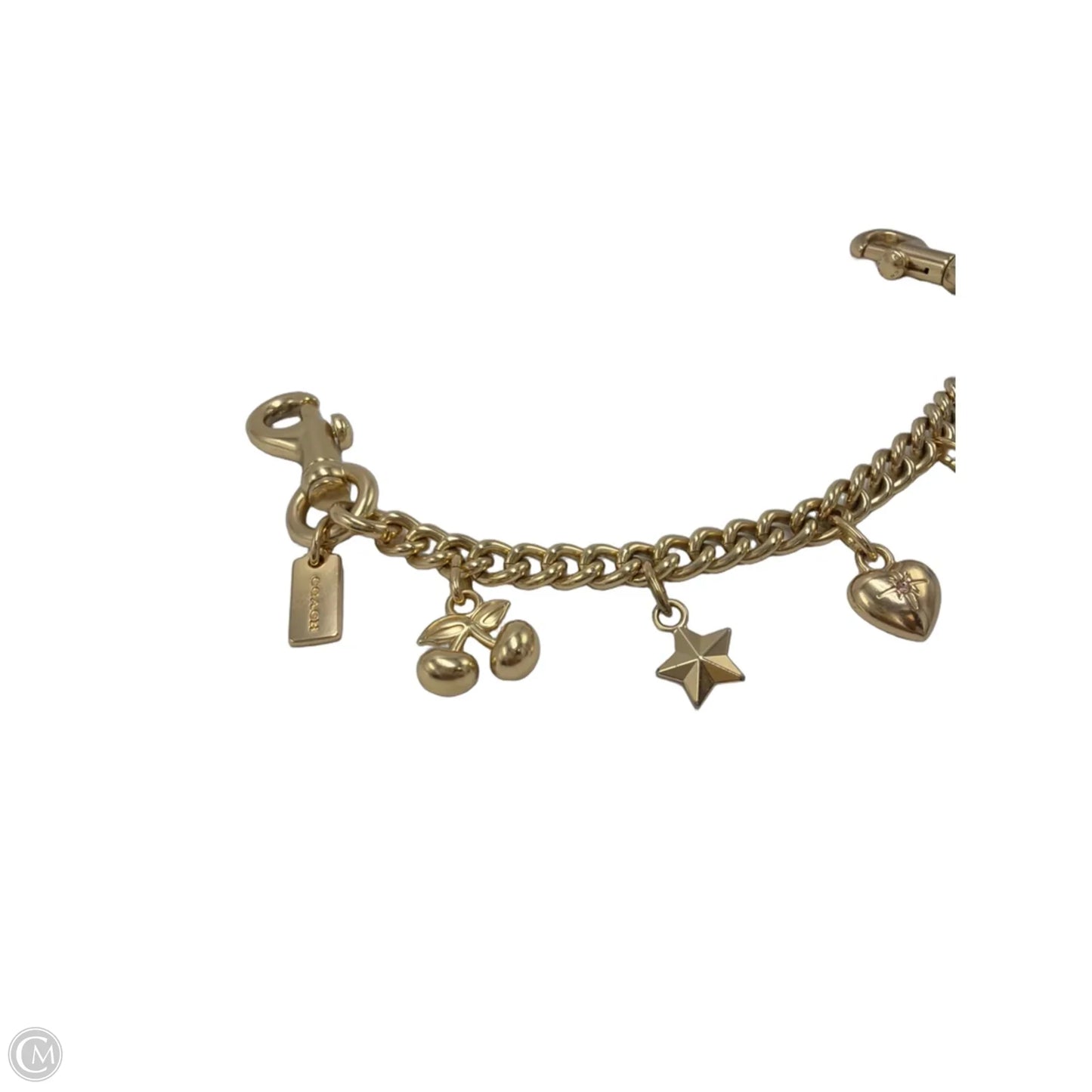 Coach Designer Swagger Chain Bag Charm