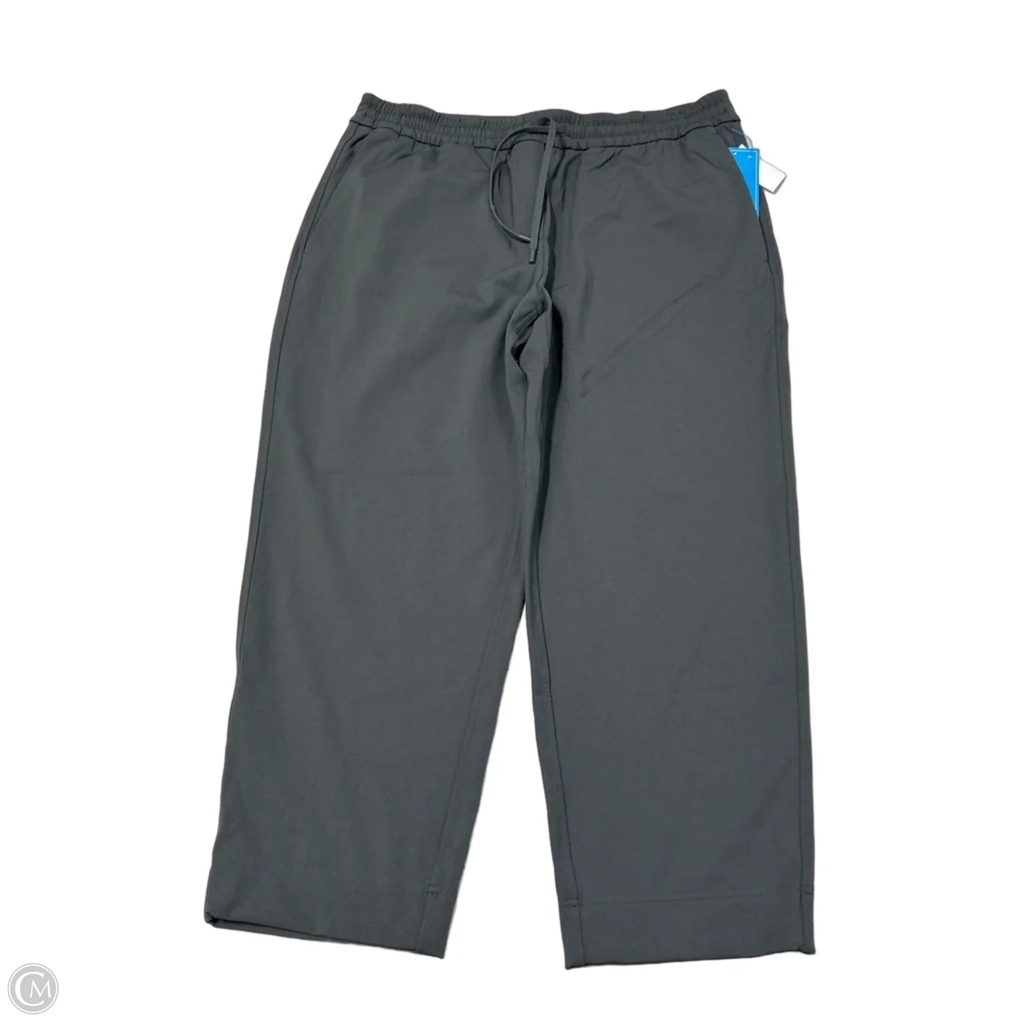Athletic Pants By Lululemon In Grey, Size: L