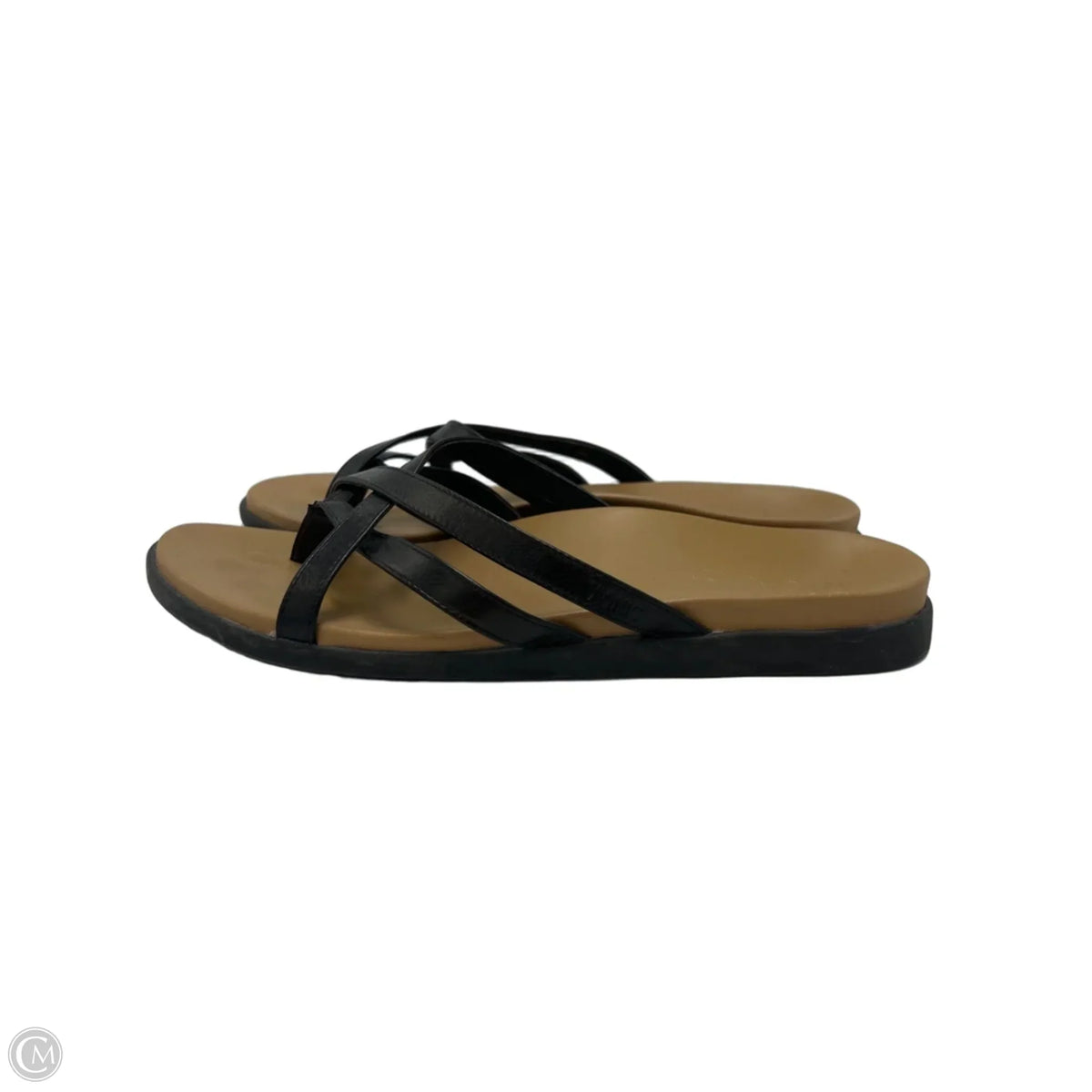 Sandals Flats By Vionic In Brown, Size: 10