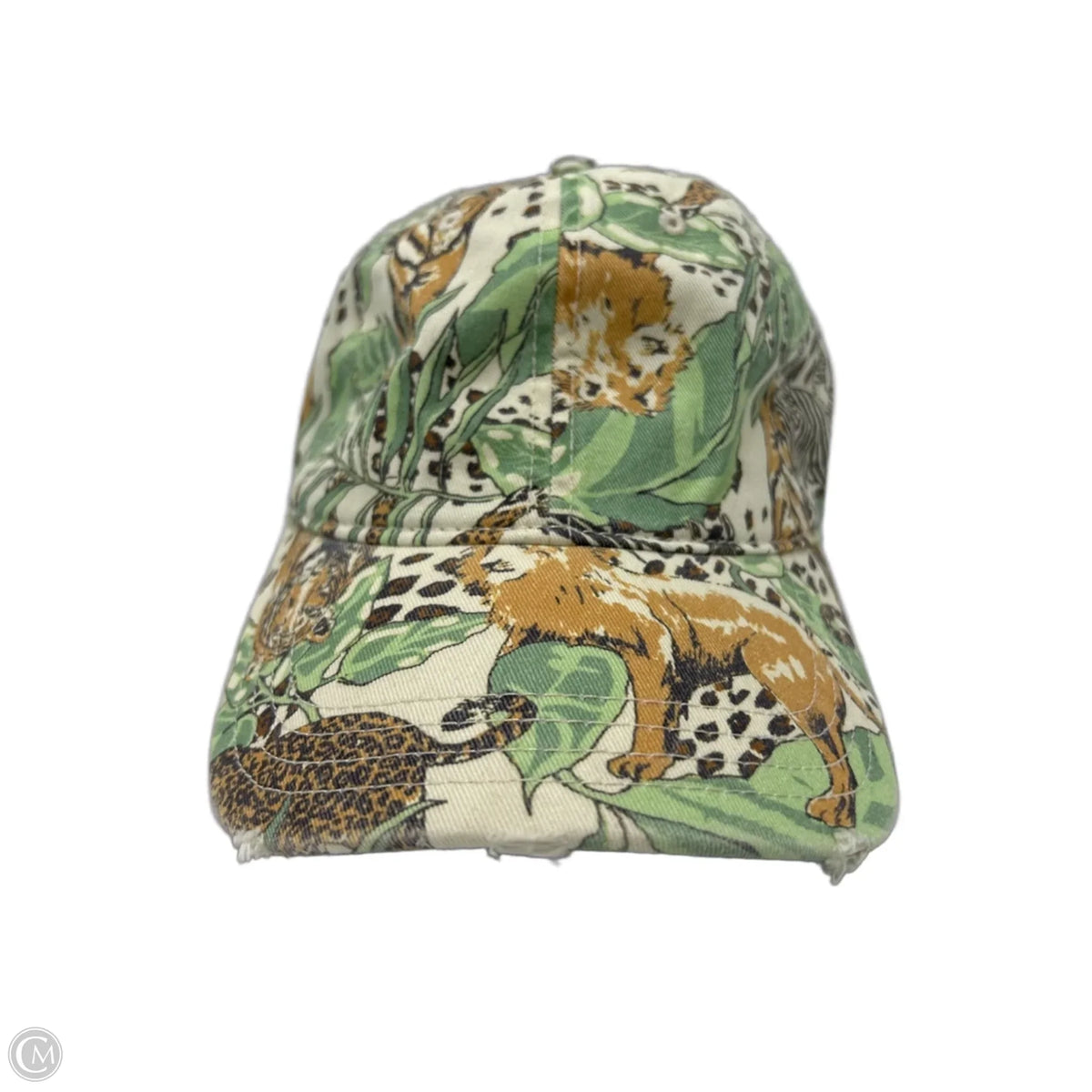 Aerie Baseball Cap