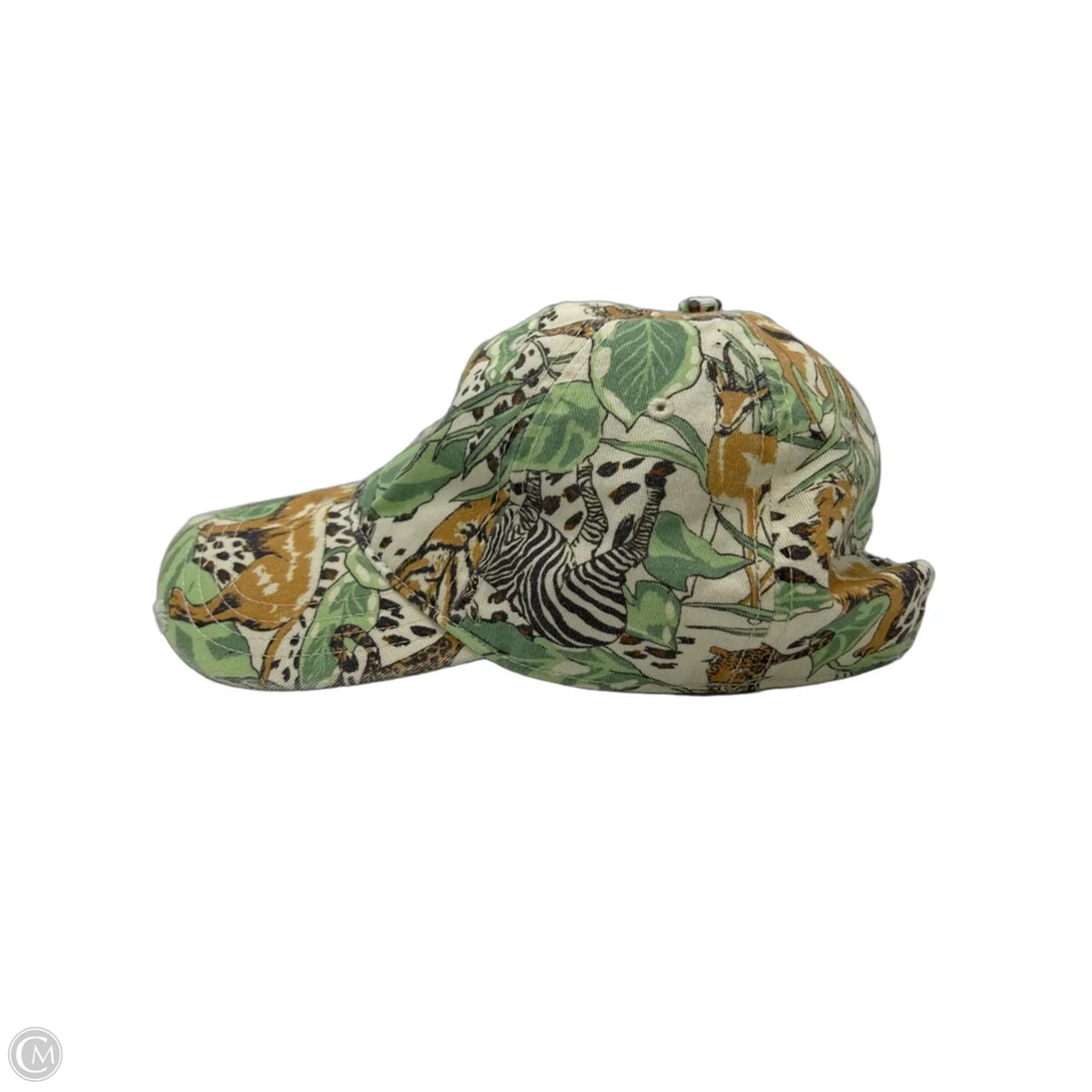 Aerie Baseball Cap