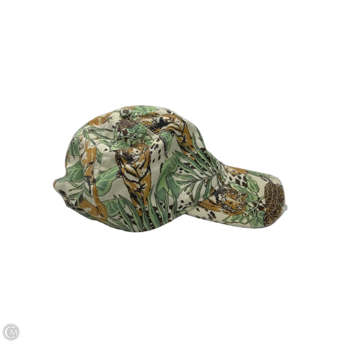 Aerie Baseball Cap