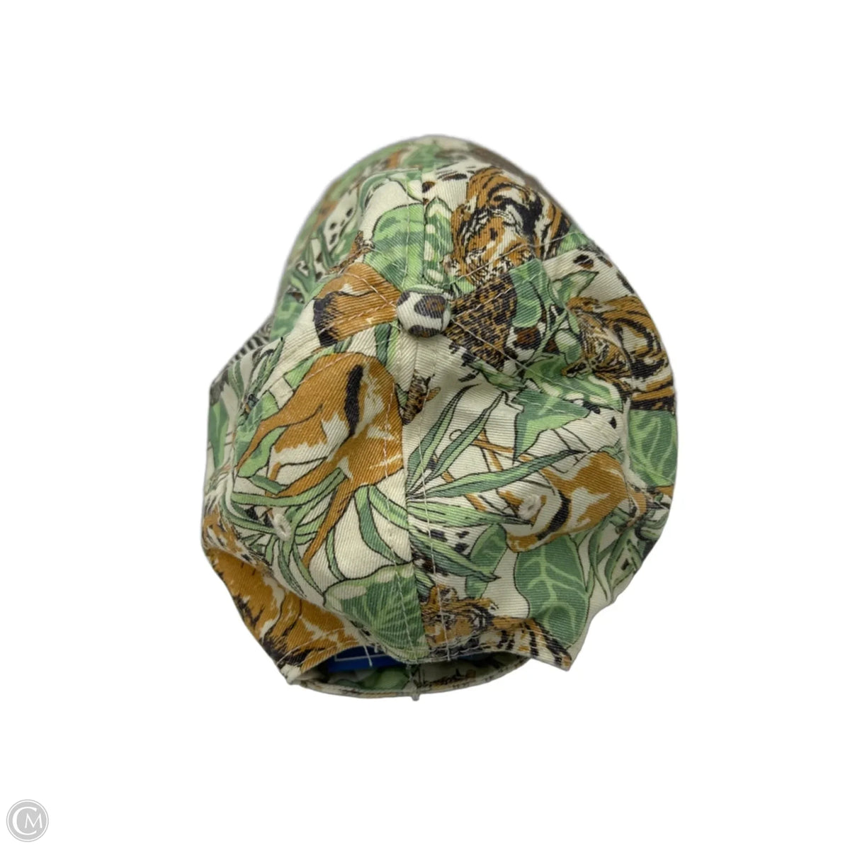 Aerie Baseball Cap
