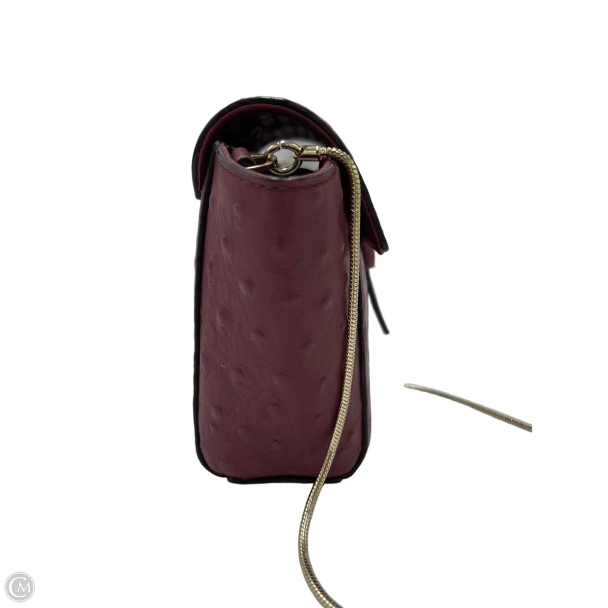 Kate Spade Designer Crossbody Bag