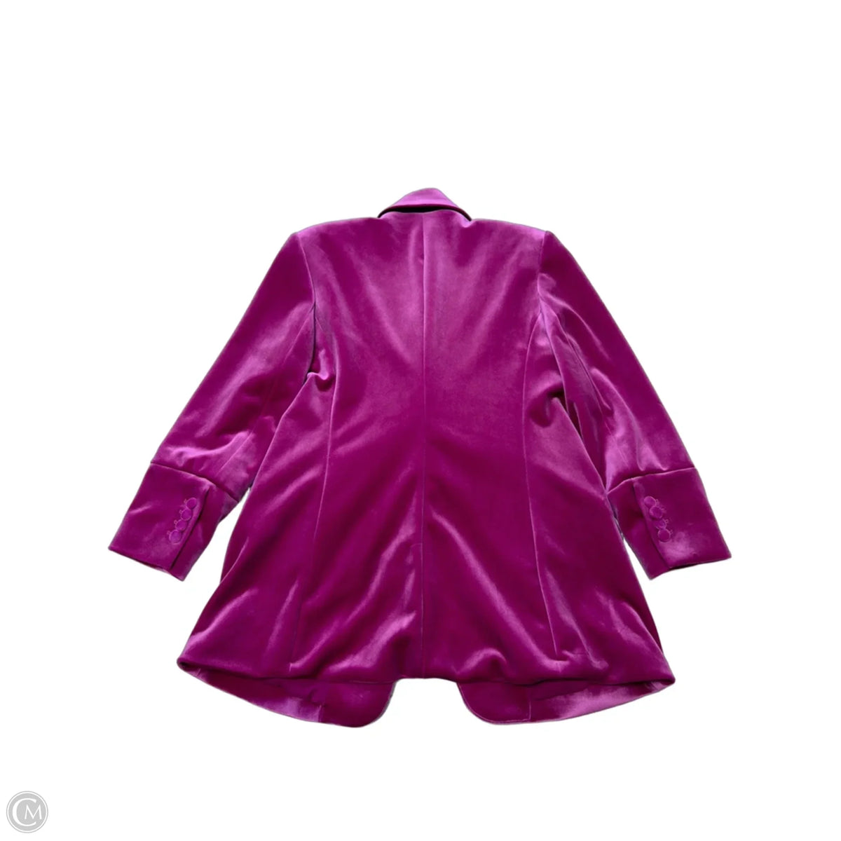 Express Blazer in Purple, Size XL