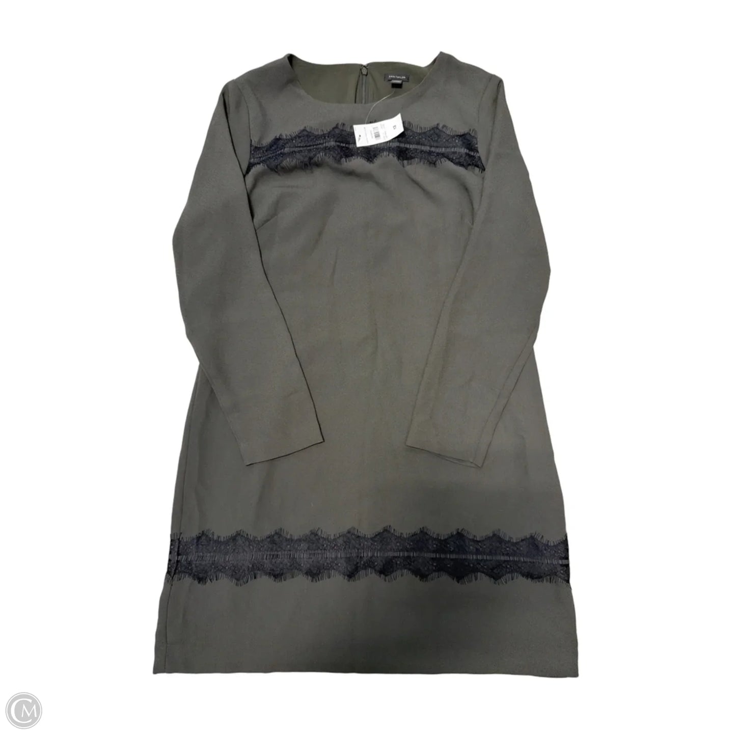 New! Dress Casual Short By Ann Taylor In Grey, Size: L