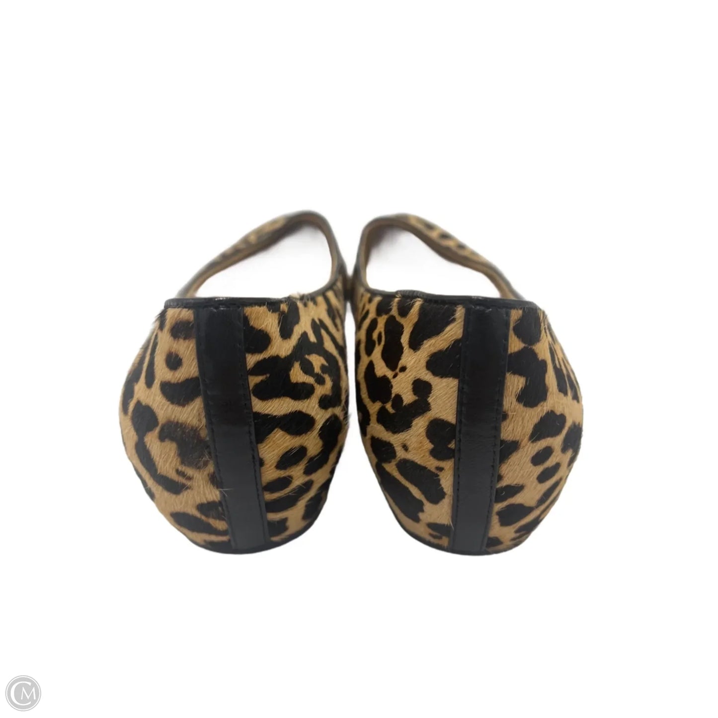 Shoes Flats By Ivanka Trump In Animal Print, Size: 11.5