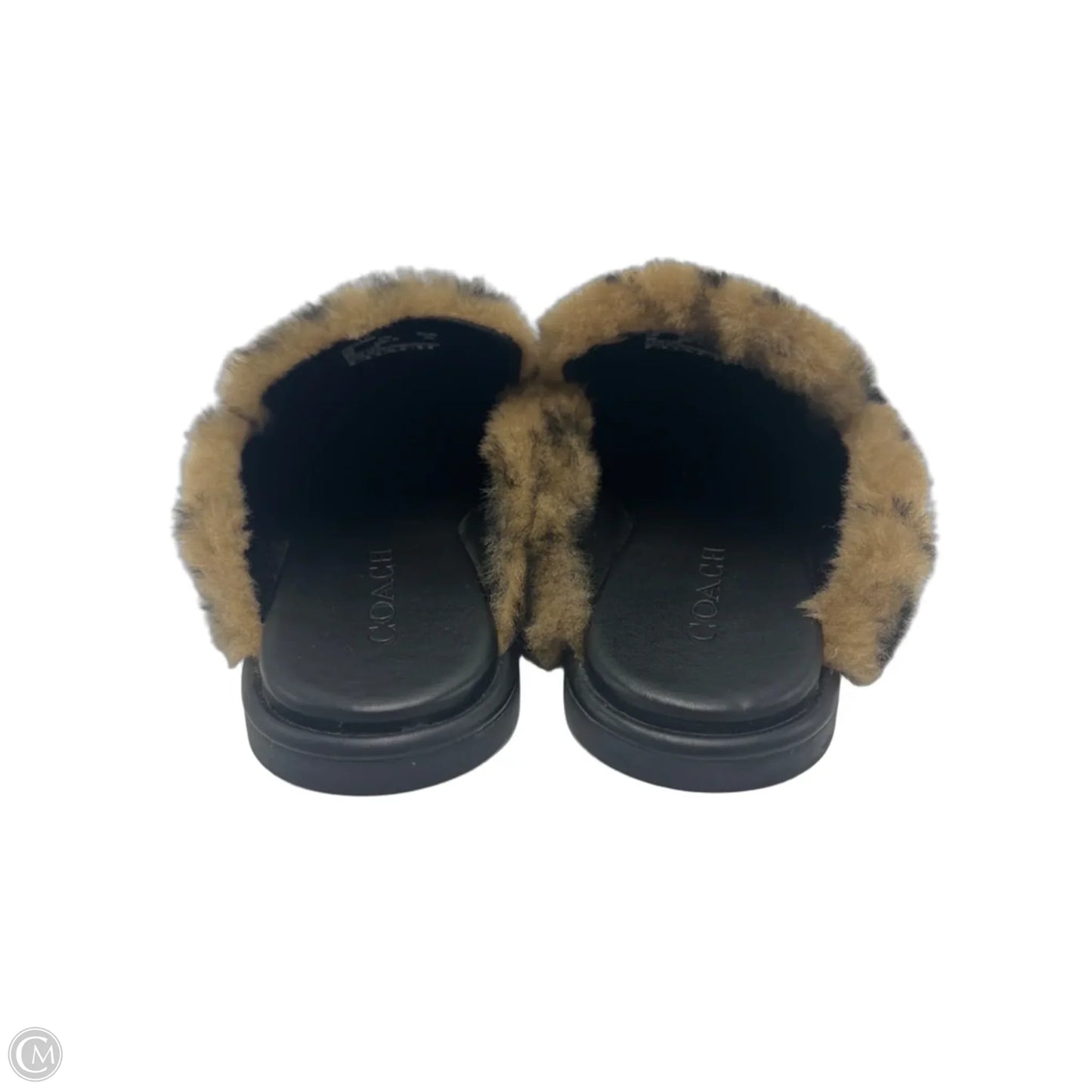 Slippers Designer By Coach In Brown, Size: 8