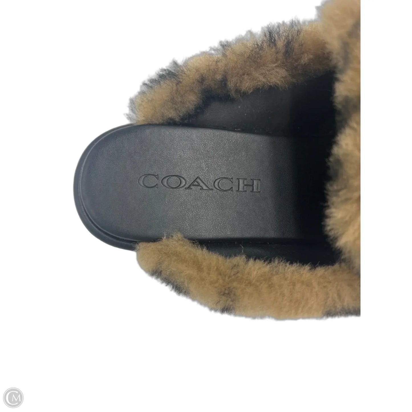Slippers Designer By Coach In Brown, Size: 8