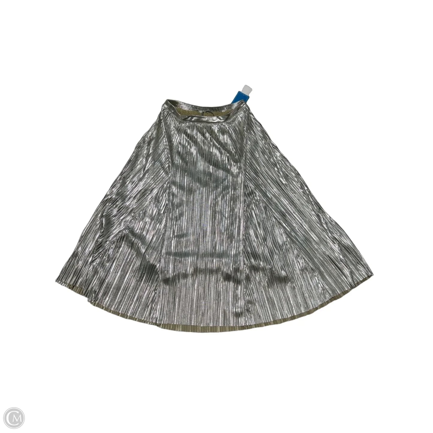 Skirt Maxi By Anthropologie In Silver, Size: S