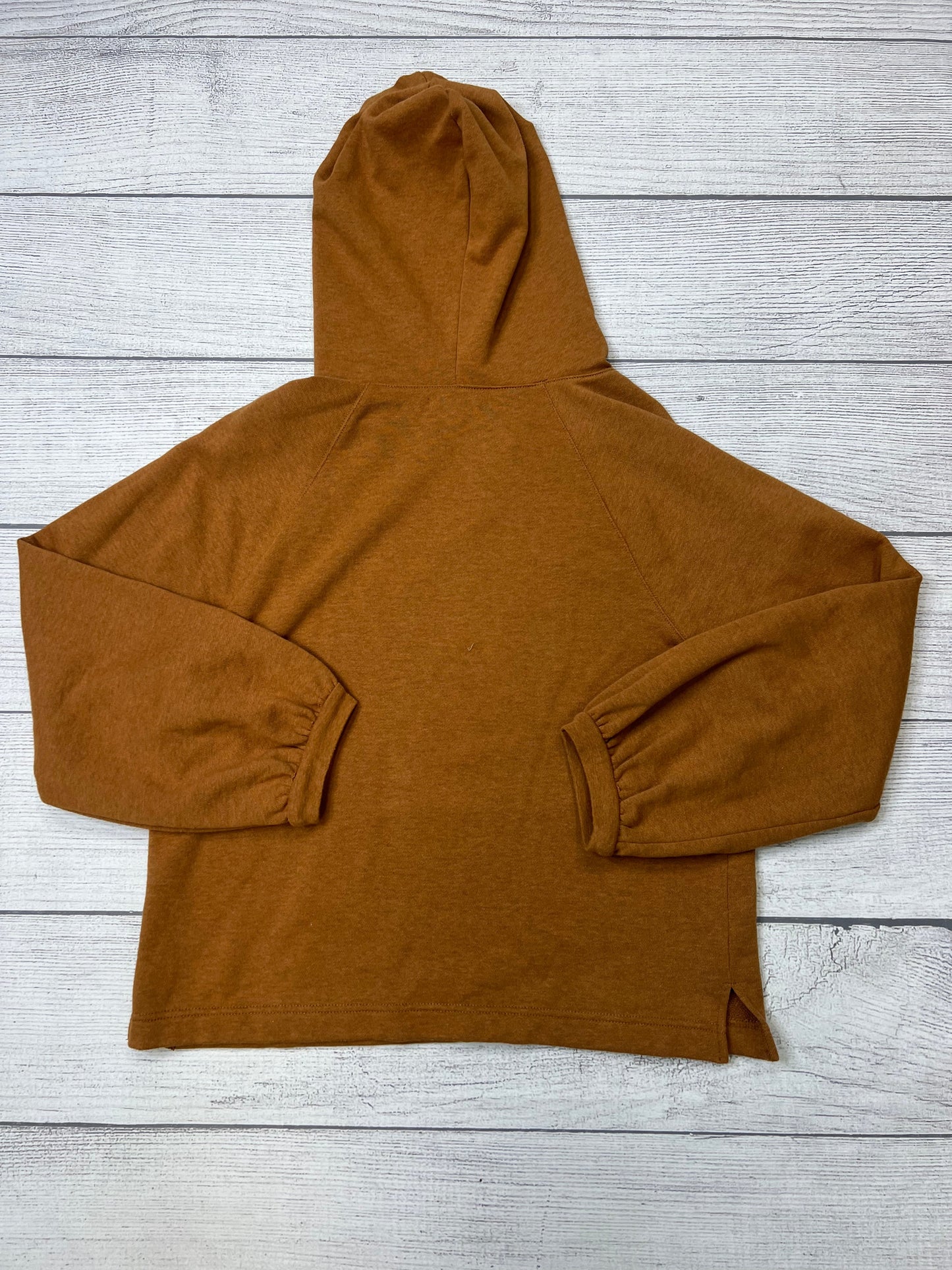 Sweatshirt Hoodie By Madewell  Size: S