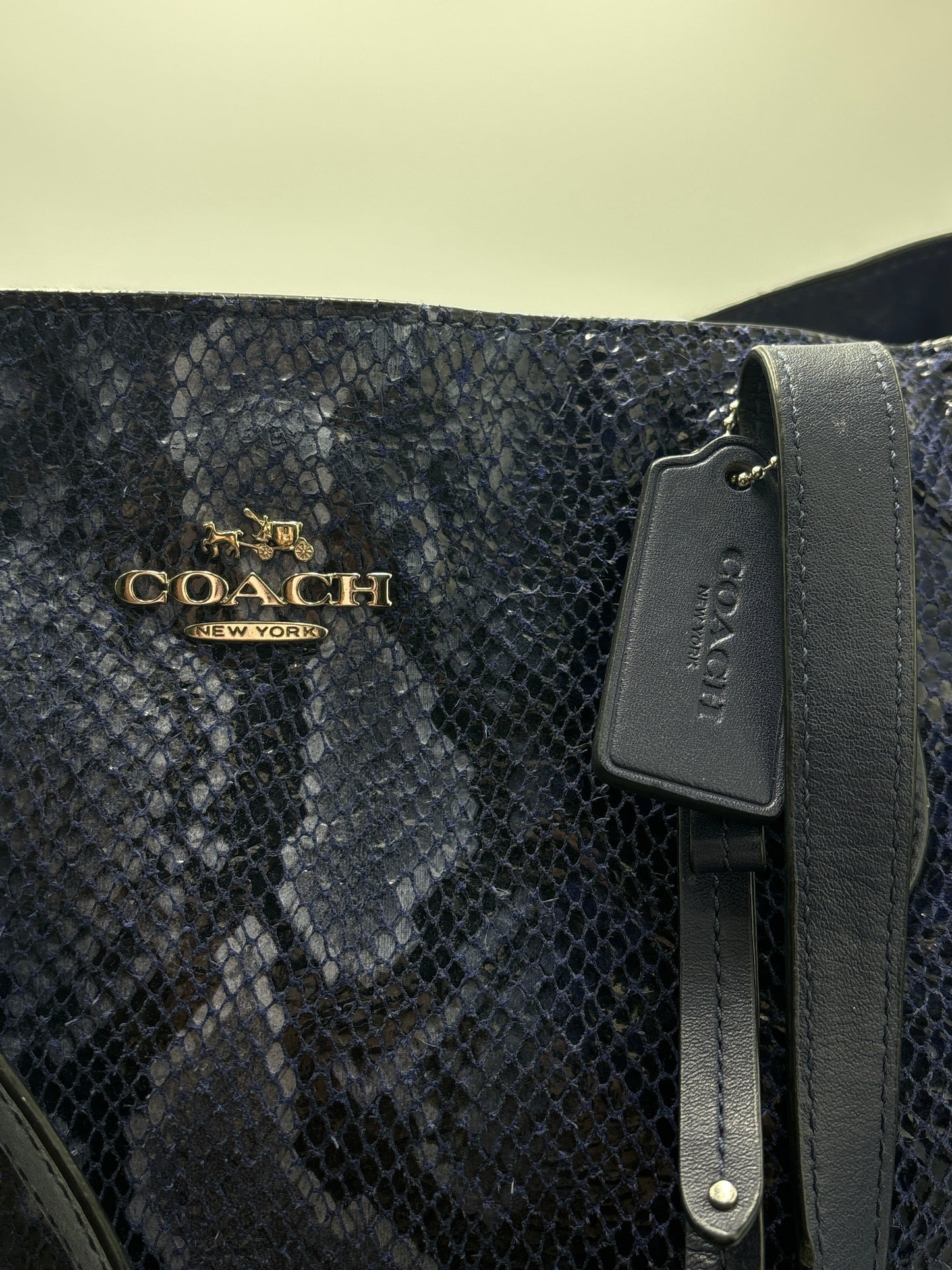 Handbag Designer By Coach