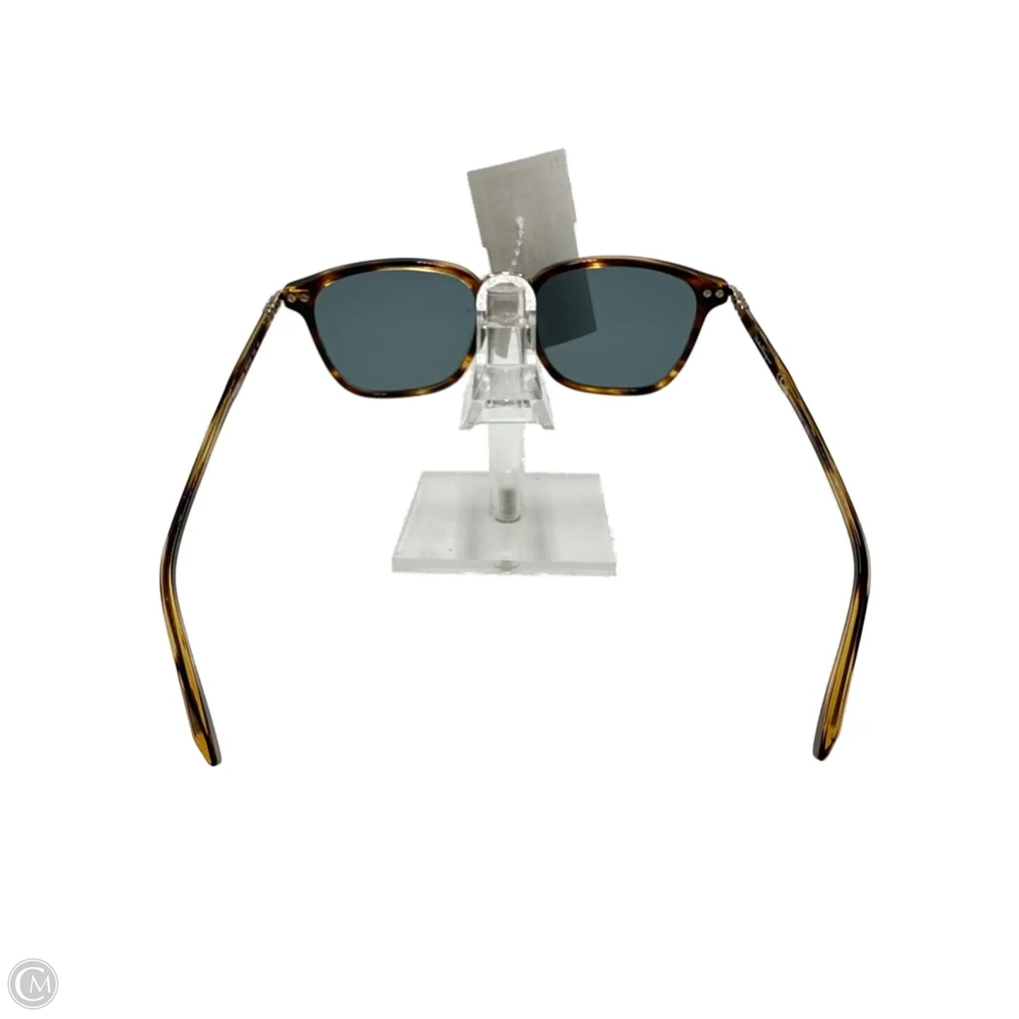 Ferragamo Luxury Designer Sunglasses