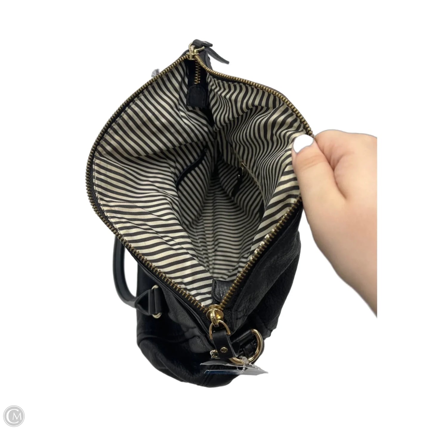 Handbag Designer By Kate Spade