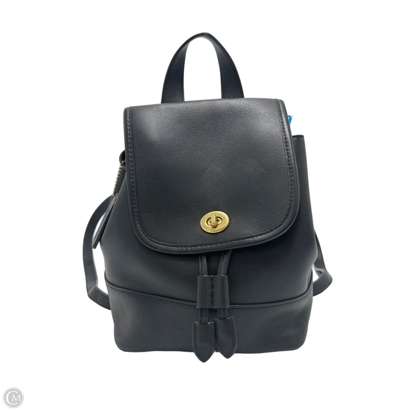 Coach Daypack Designer Backpack