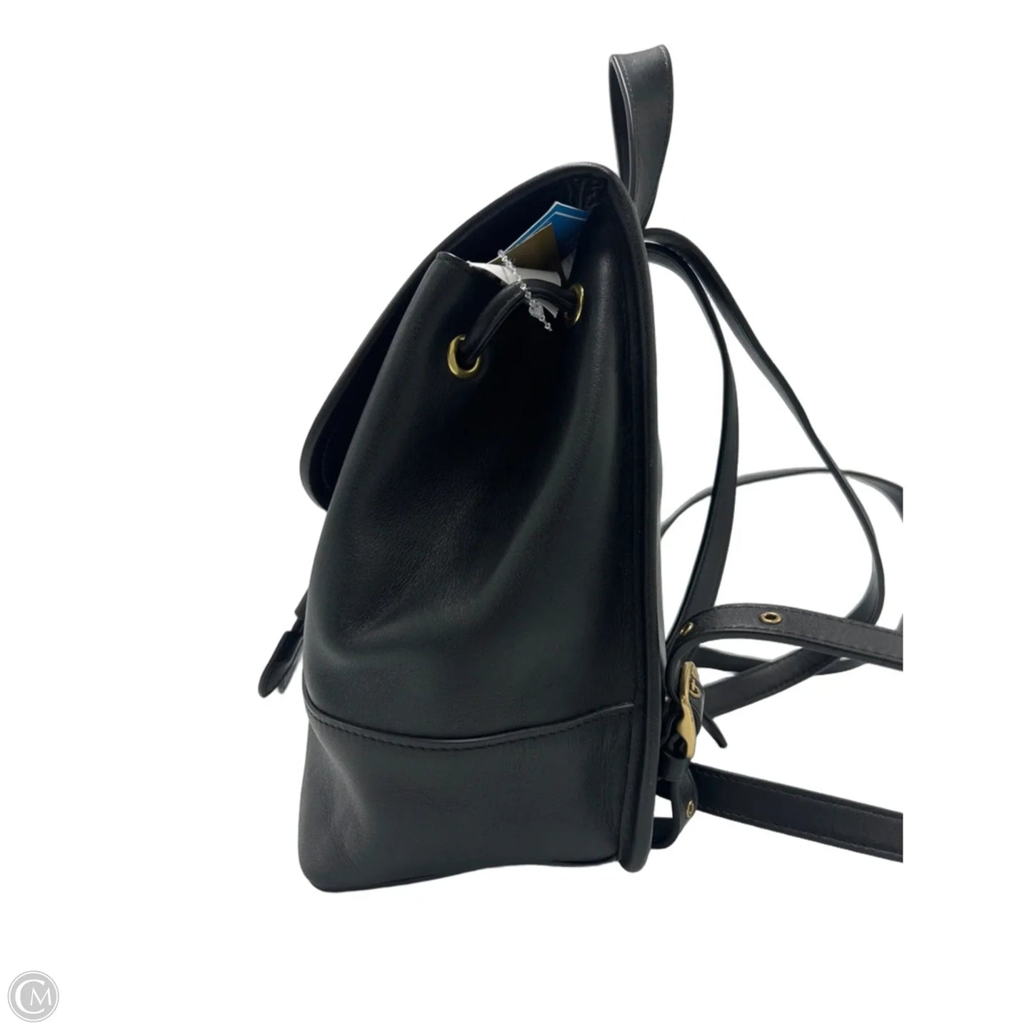 Coach Daypack Designer Backpack