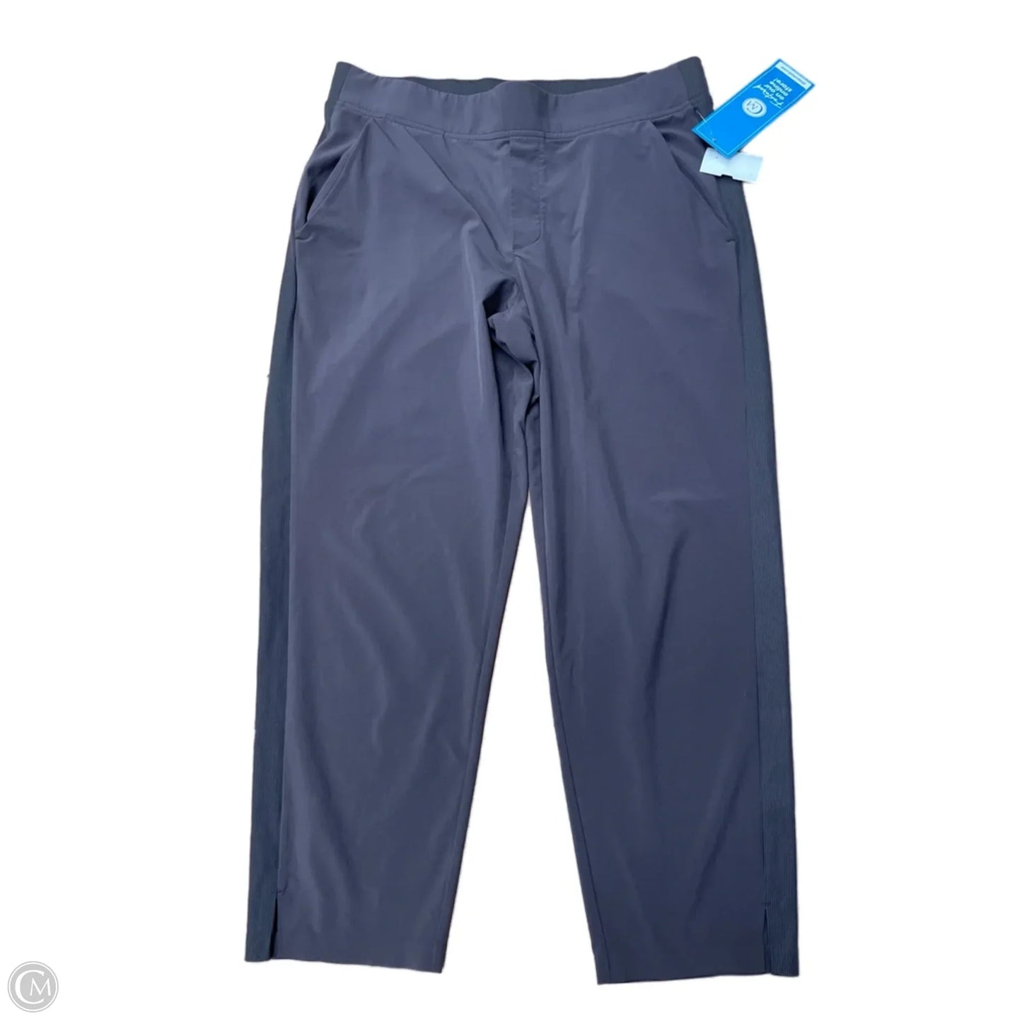 Athletic Pants By Athleta In Purple, Size: Lp