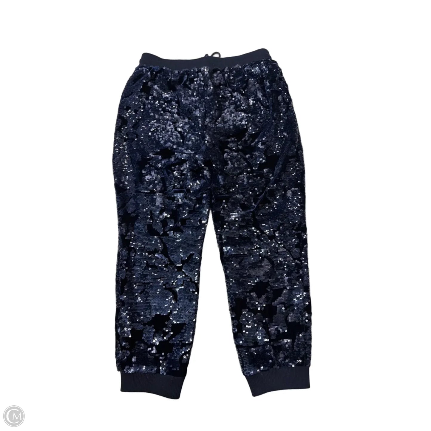Pants Joggers By Anthropologie In Blue, Size: M