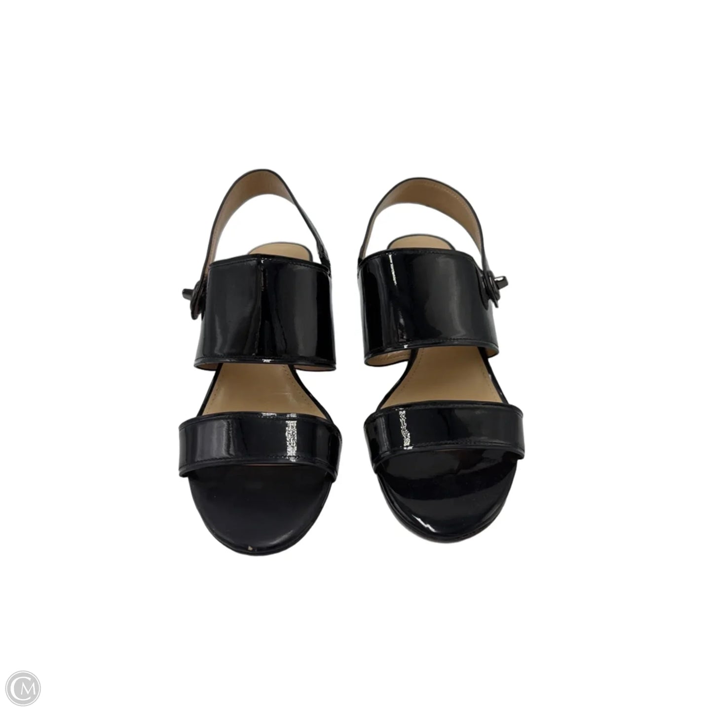 Shoes Designer By Coach In Blue, Size: 9