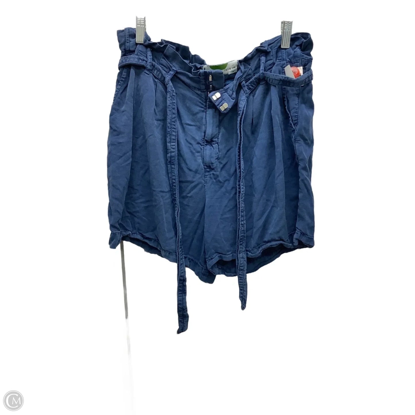 Shorts By Anthropologie In Teal, Size: 12