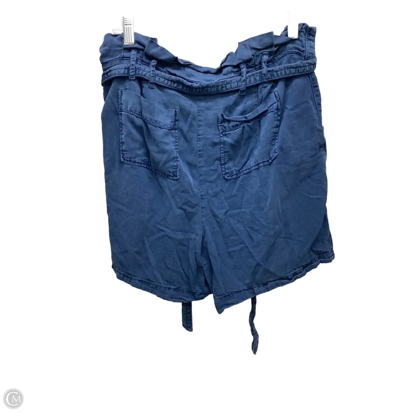 Shorts By Anthropologie In Teal, Size: 12