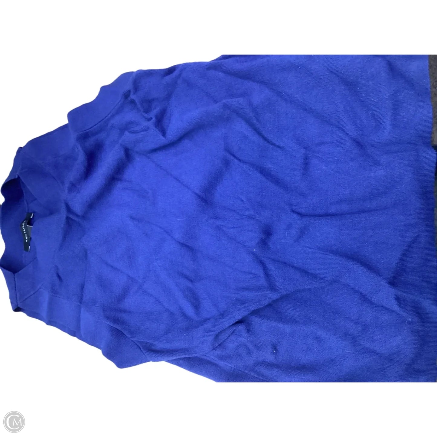 Top Sleeveless By Ann Taylor In Blue, Size: S