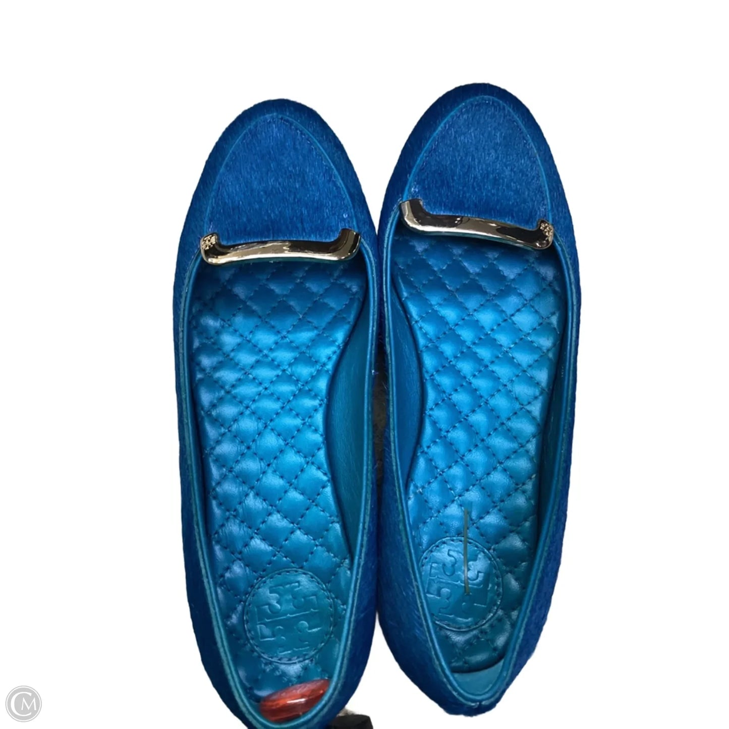 Shoes Designer By Tory Burch In Blue, Size: 5