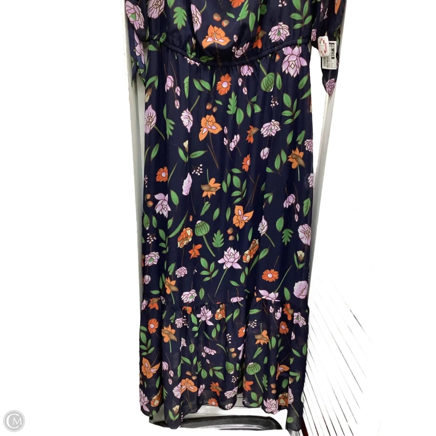 Dress Casual Maxi By Ronnie Nicole In Floral Print, Size: 12