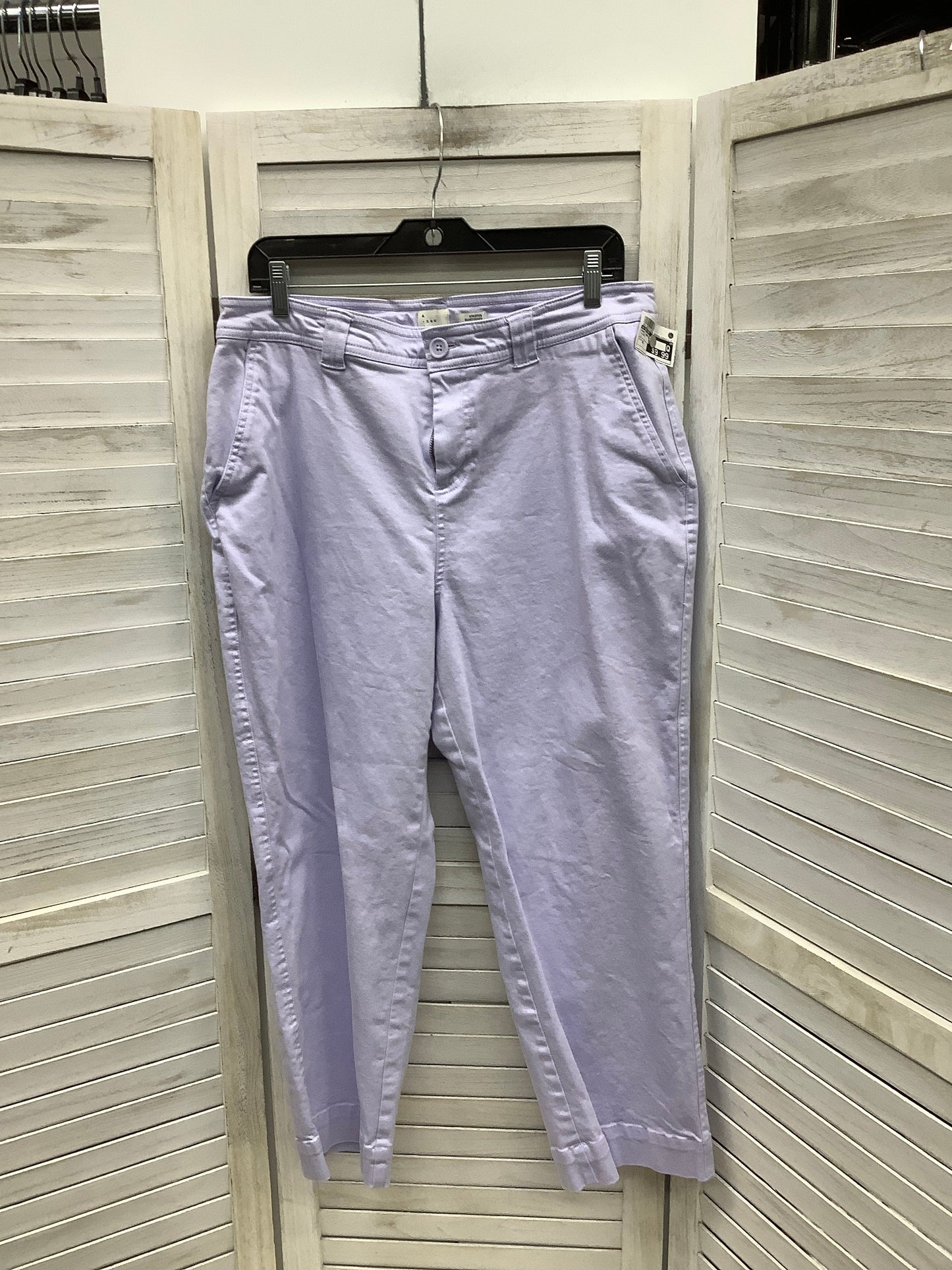 Pants Ankle By A New Day  Size: 14