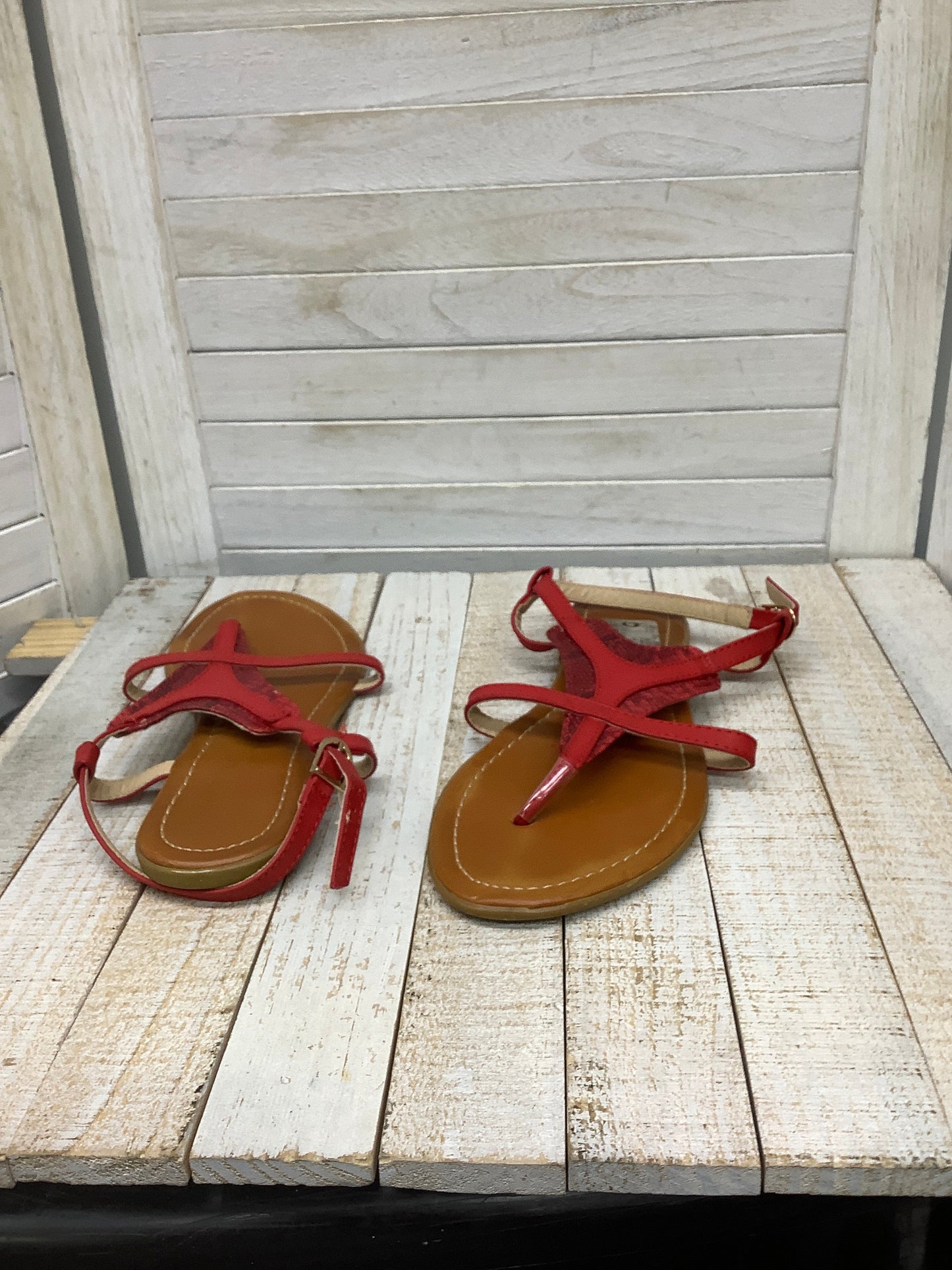 Sandals Flip Flops By Clothes Mentor  Size: 9