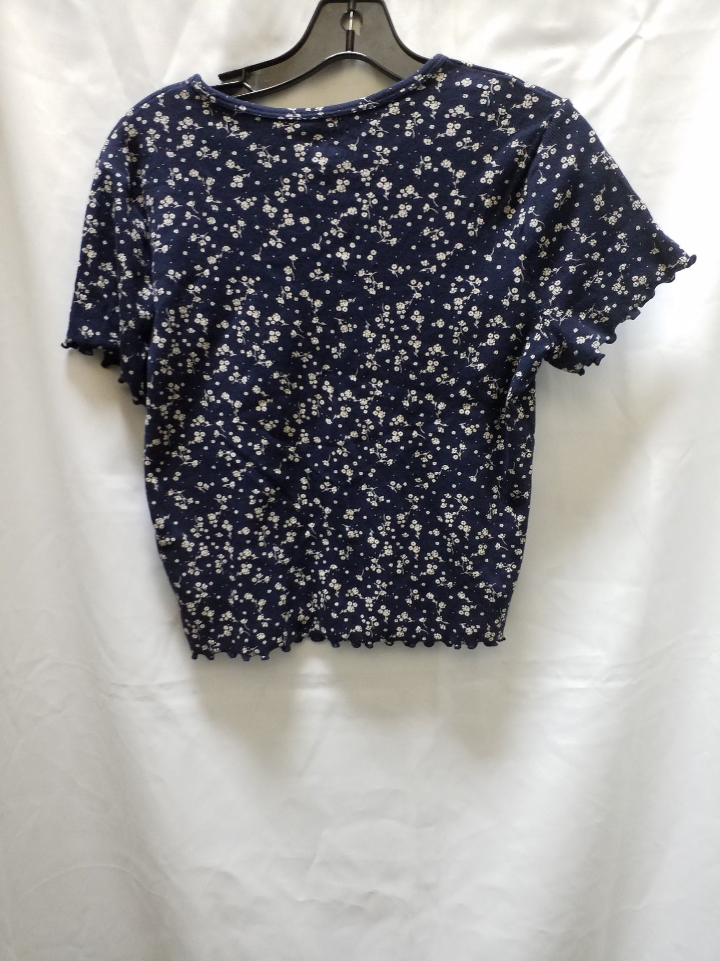 Top Short Sleeve By Hollister  Size: L