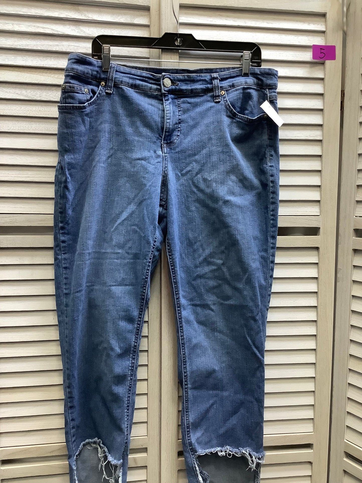 Blue Denim Jeans Skinny Terra & Sky, Size 14