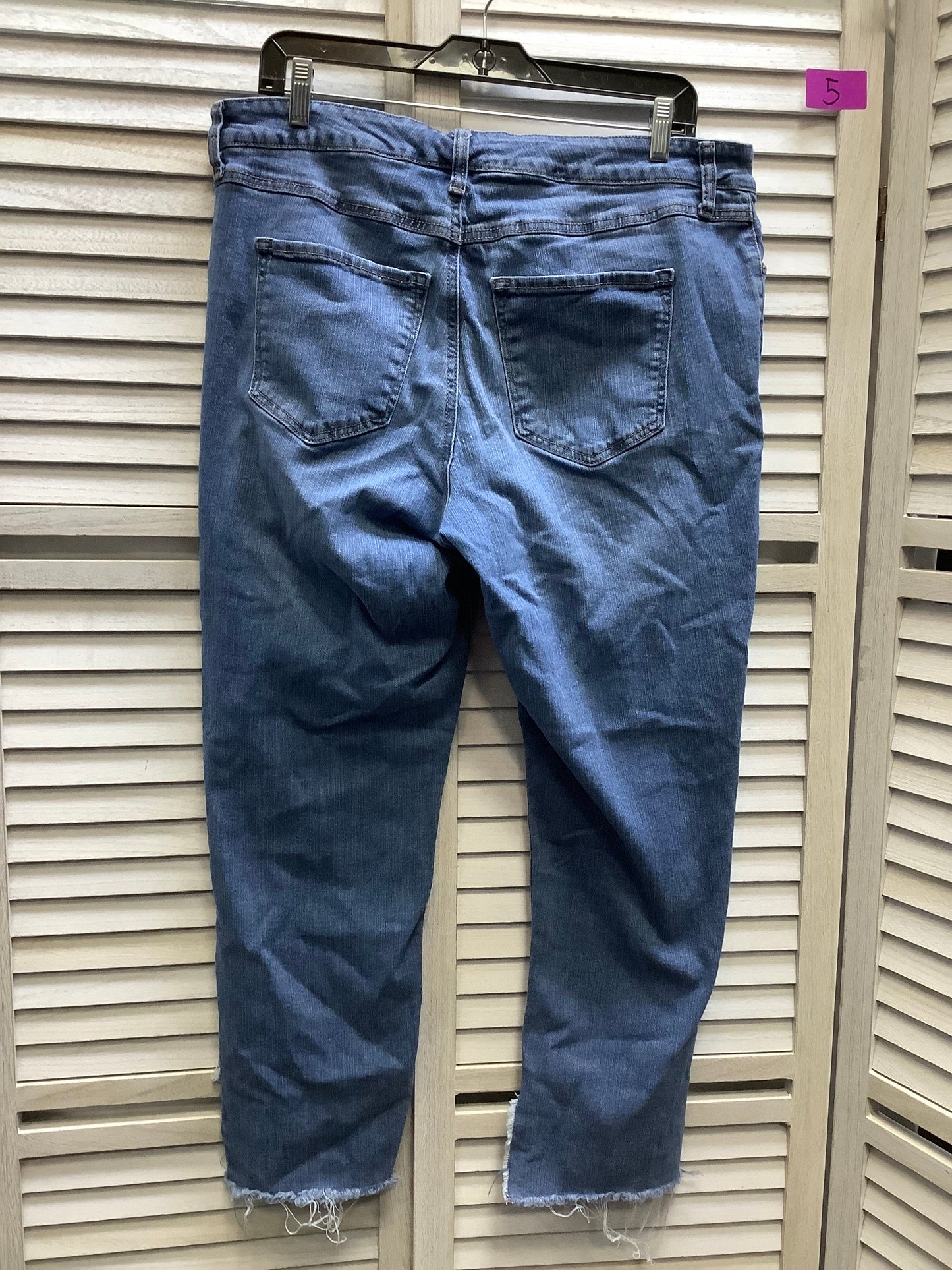 Blue Denim Jeans Skinny Terra & Sky, Size 14