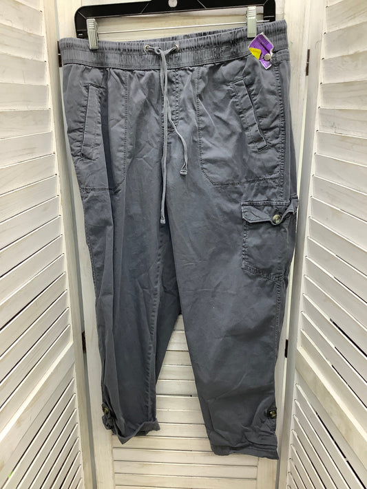 Pants Cargo & Utility By Sonoma In Grey, Size: 10