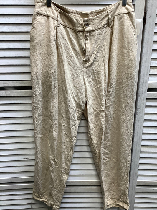 Tan Pants Cargo & Utility A New Day, Size 8