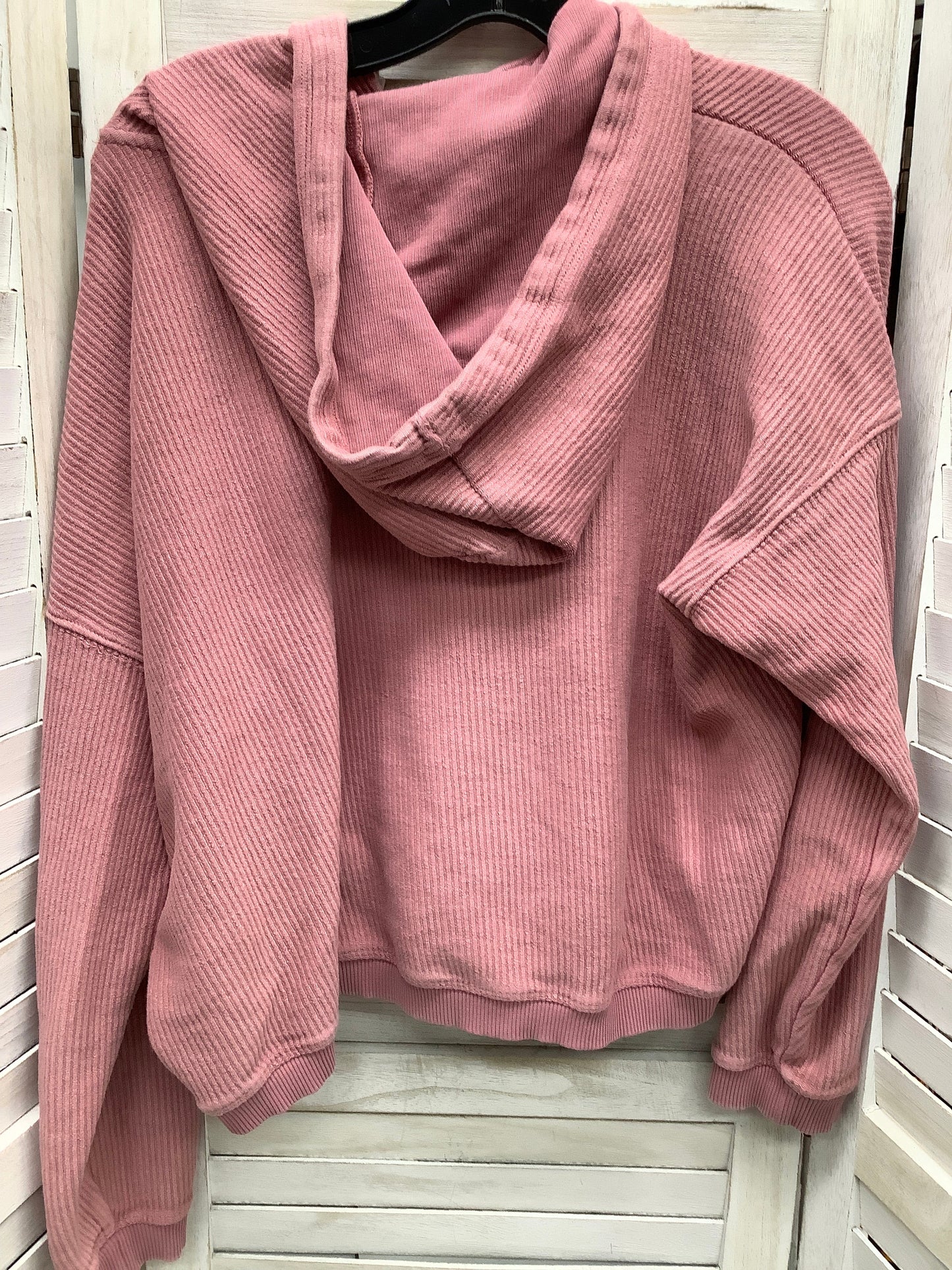 Sweatshirt Hoodie By Aerie  Size: L