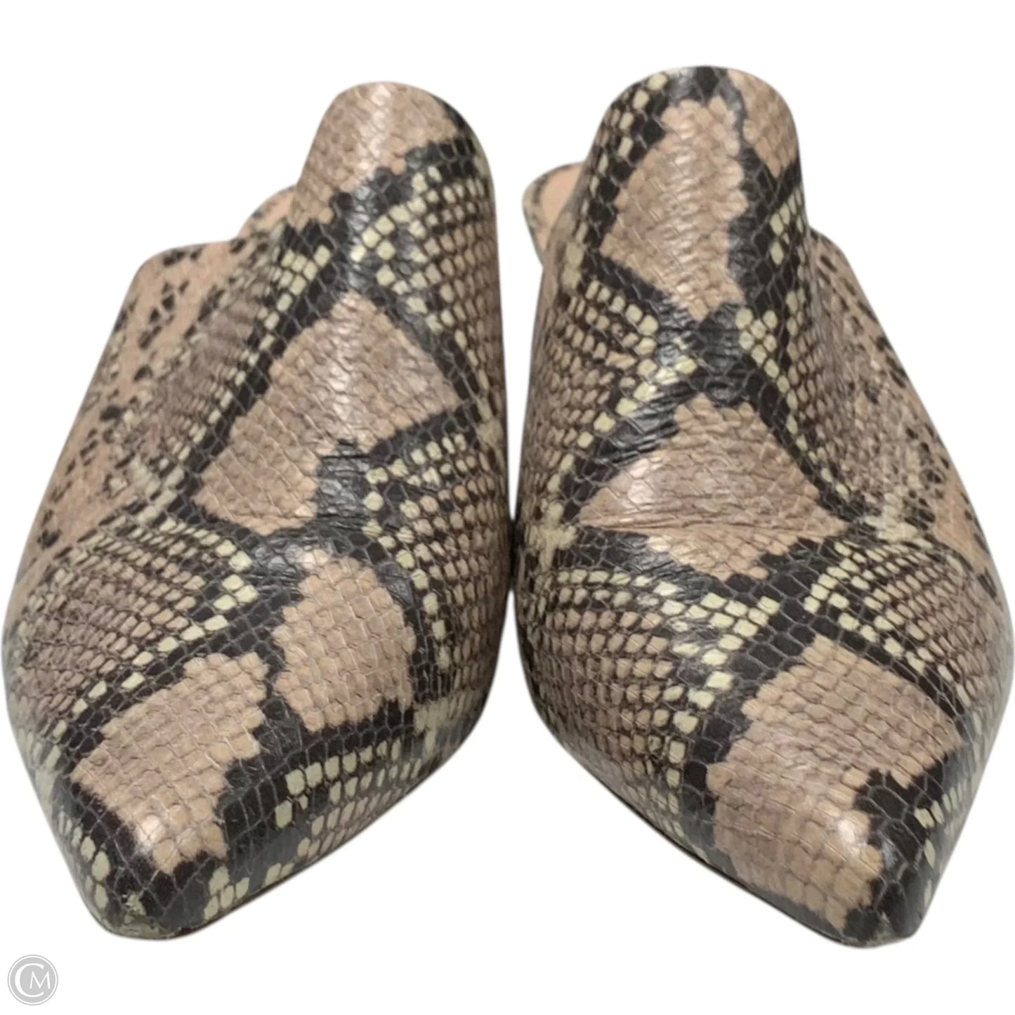 Shoes Designer By Kate Spade In Animal Print, Size: 9