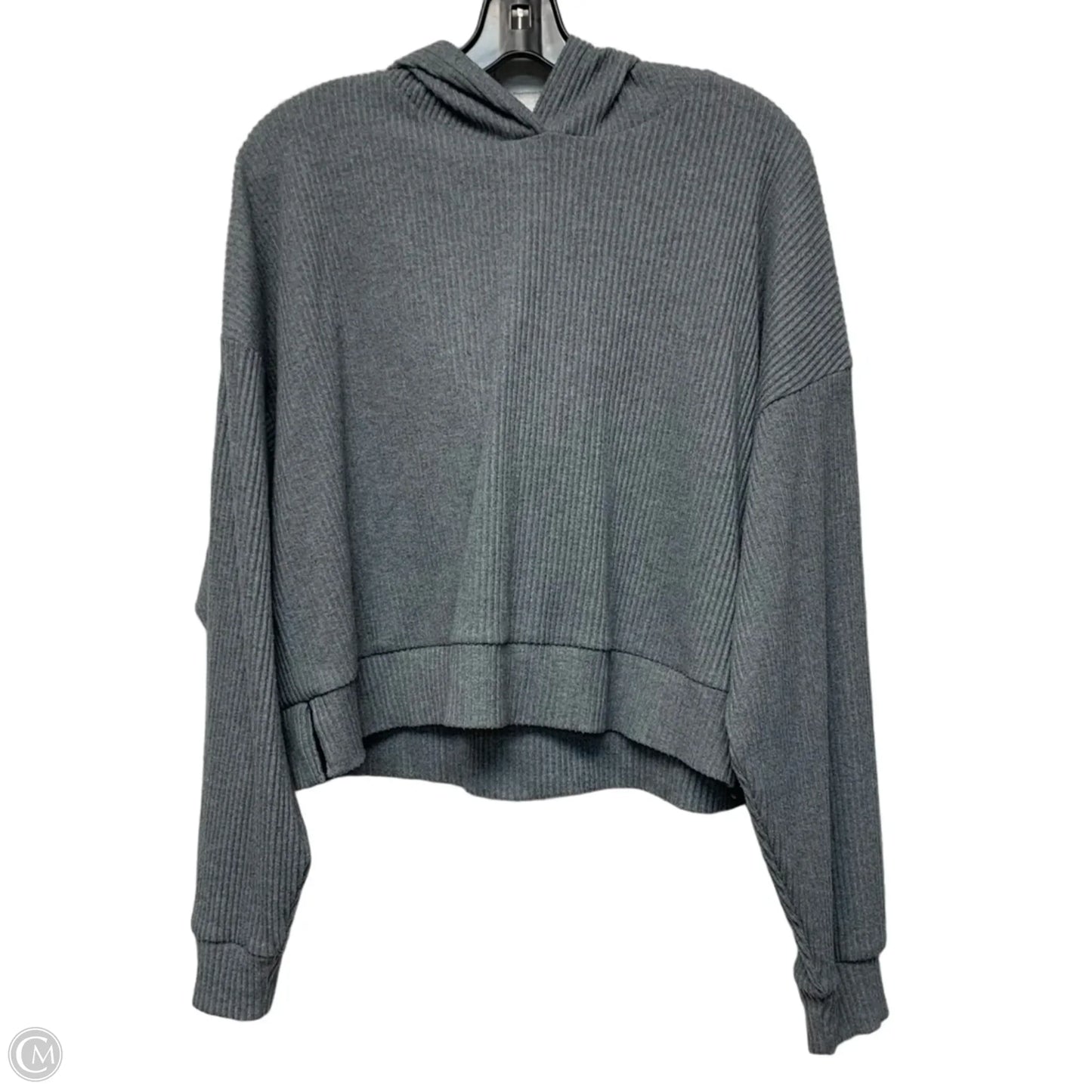 Sweatshirt Hoodie By Alo In Grey, Size: M