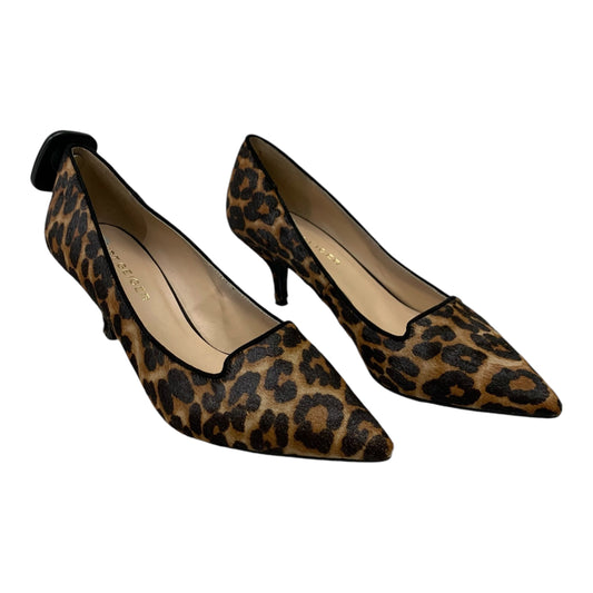 Shoes Designer By Kurt Geiger In Animal Print, Size: 9.5