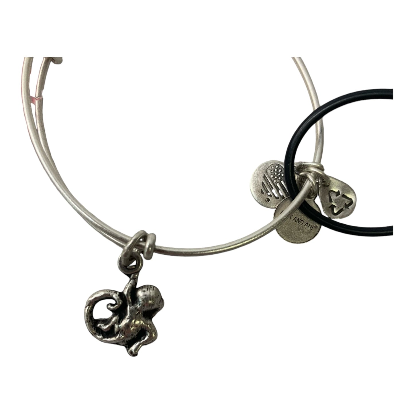 Bracelet Charm By Alex And Ani