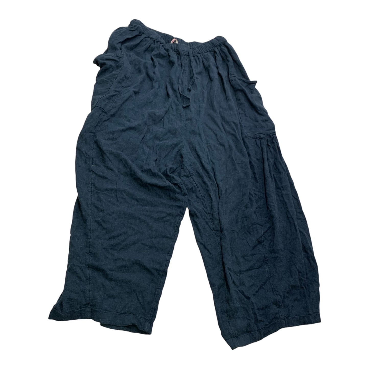 Pants Other By Free People In Blue, Size: S