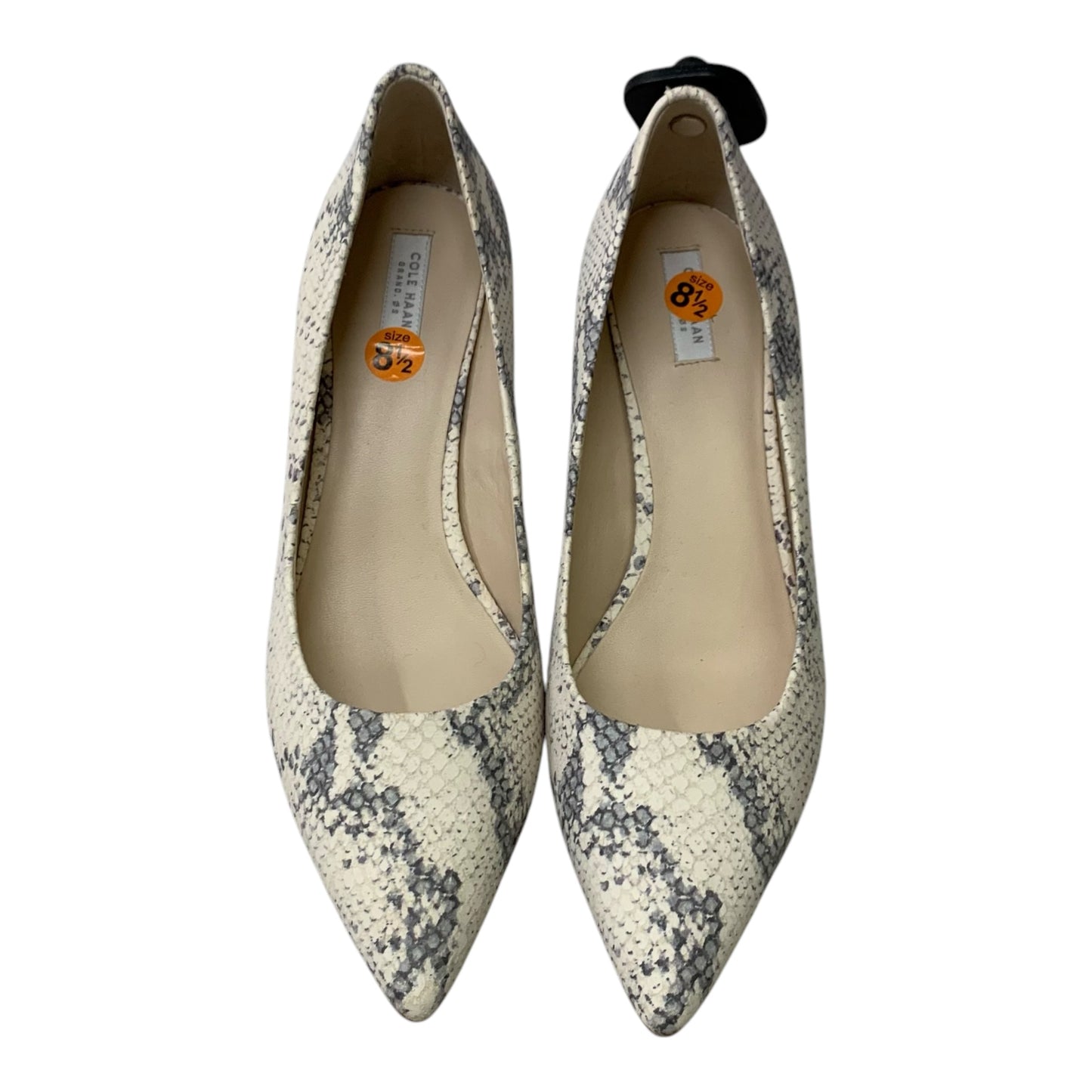 Shoes Heels Stiletto By Cole-haan In Snakeskin Print, Size: 8.5