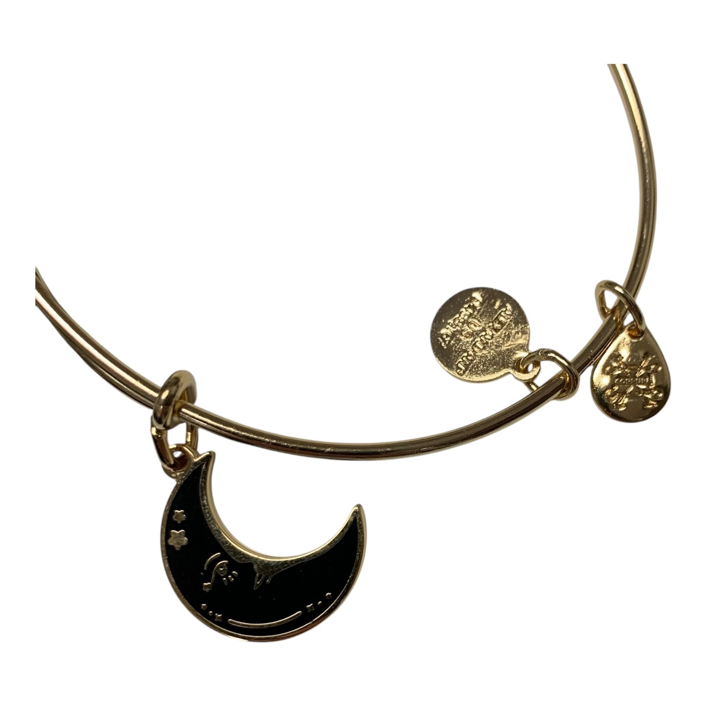 Bracelet Charm By Alex And Ani