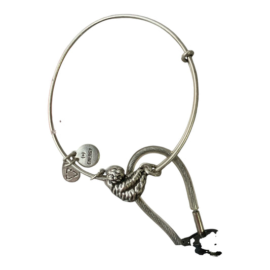 Bracelet Charm By Alex And Ani