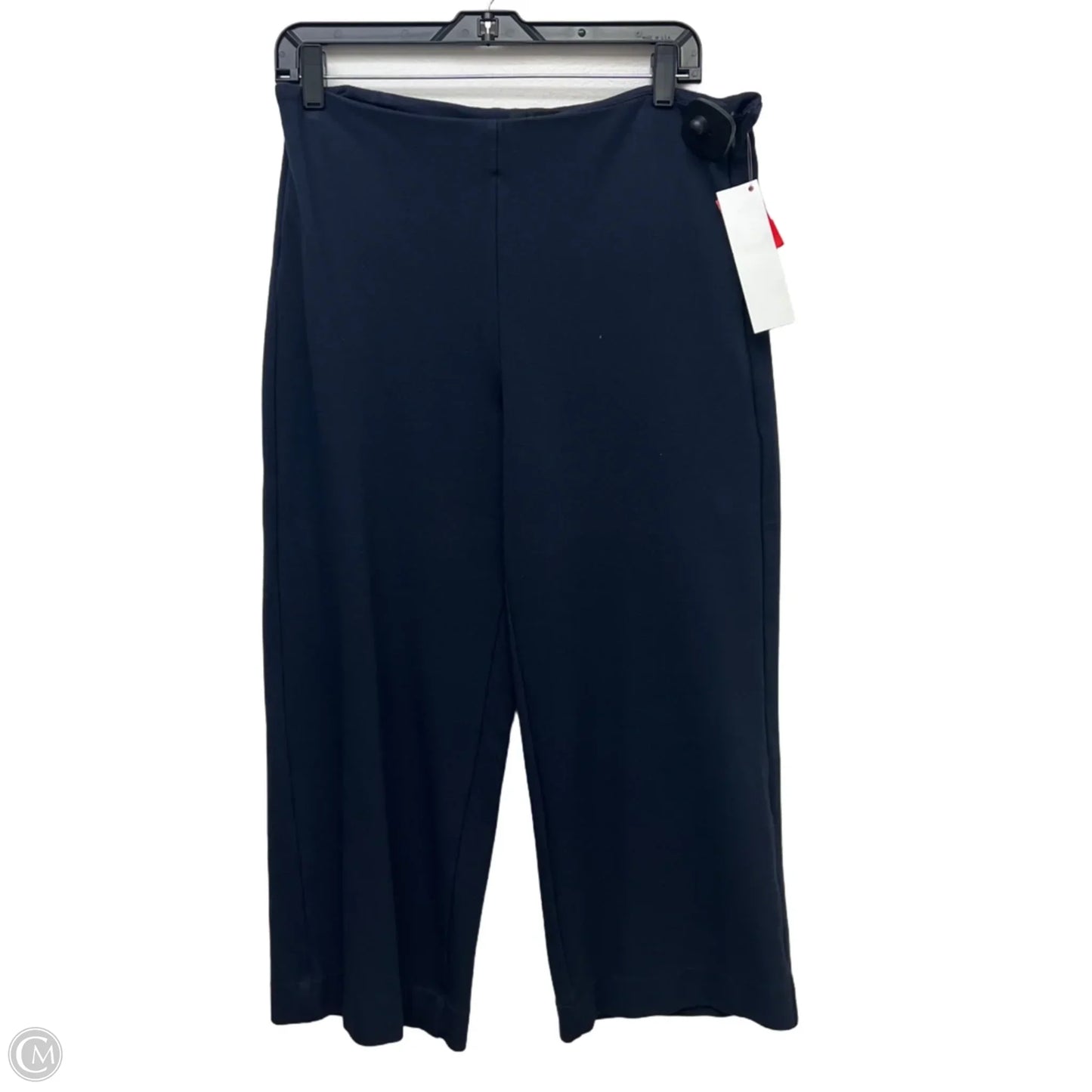 Pants Other By Ann Taylor In Navy, Size: 12p